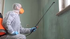 Best Mold Remediation for Healthcare Facilities  in Somerdale, NJ