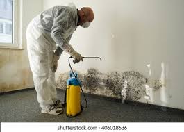 Somerdale, NJ Mold Removal Services Company